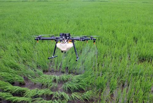 空气湿度大， 药效或失效