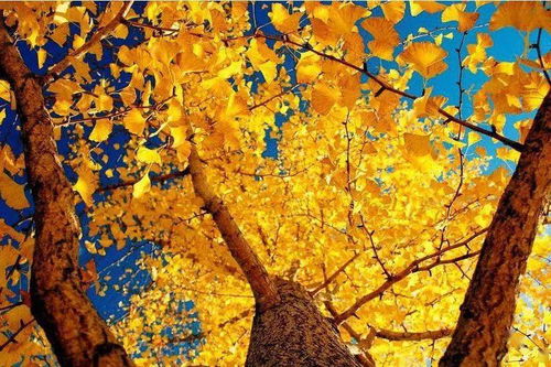 关键案例，你堪到了吗？