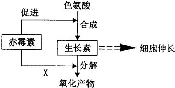 乱七八糟的算法