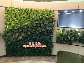 雌雄异株植物在生态系统中的地位