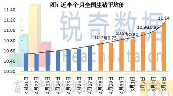 今天生猪价格行情涨势明显，生猪价格今日涨了多少？