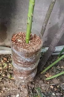 第一步：塑料布的使用之道