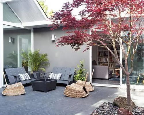 栽林木，效益可观