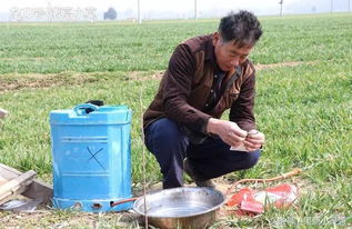 除草剂加水之谜：如何稀释才对