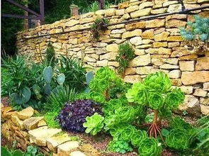 园林设计大揭秘：这是啥？