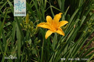 清热解毒，身体轻松