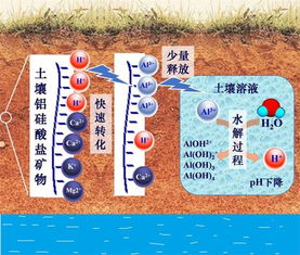 如何将北方碱性水酸化：一种不科学的尝试