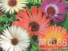 秋冬季保湿， 塑料袋套上