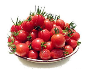 番茄晚疫病的烦恼，代森锰锌百菌清Neng帮忙吗？