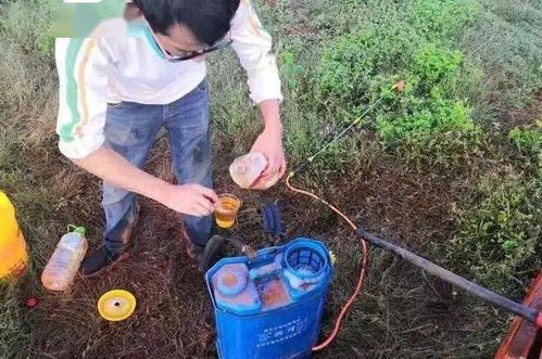 除草剂，听起来好厉害的样子
