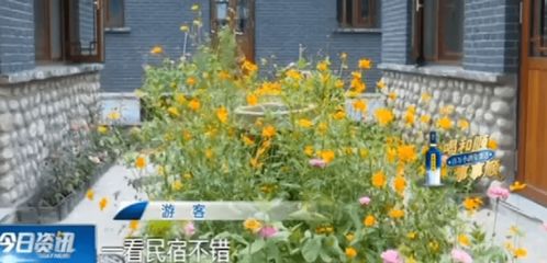 遮形、 蔽风，树木的另一种作用