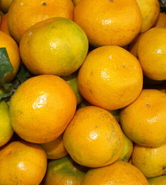 其他性价比高的产品