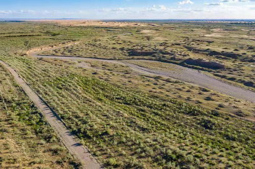 新手注意四大要点， 避免养出低质量植物