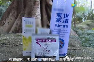 乙草胺对羊的影响