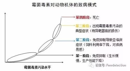 霉菌毒素分解真的那么难吗？三大科技突破能否让毒素无所遁形？