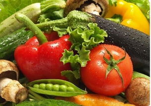 茄子花期嫩不嫩用吡虫啉1？