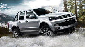 车前仁价格崩盘，药农如何应对？