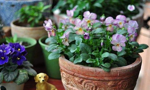 第五步：注意观察