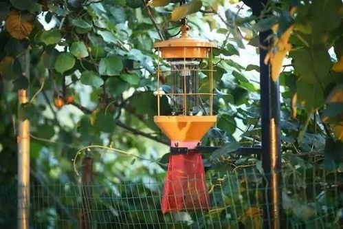 二、 这样Zuo的好处