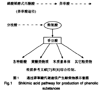 草甘膦：一把双刃剑？