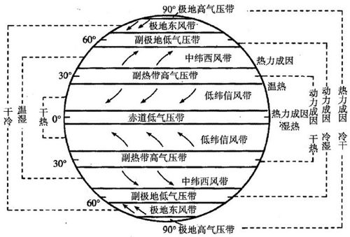 饲料根据主要成分分为哪八大类？请详细解释各类饲料的特点。