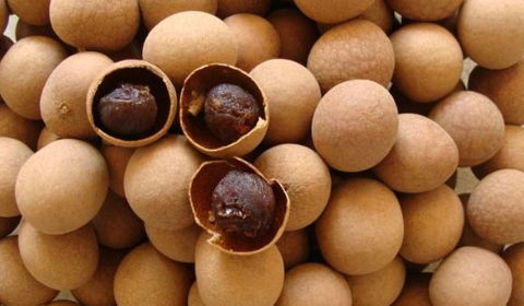 龙眼喷农药后多久会有反应？