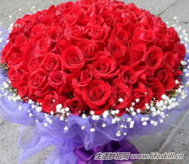 玫瑰花变黑了怎么办