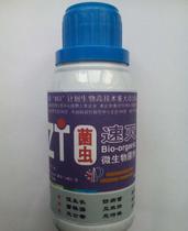 潮湿环境小虫子的困扰