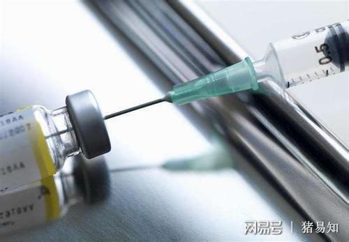 蓝耳疫苗实战指南：灭活疫苗适用于哪些猪场