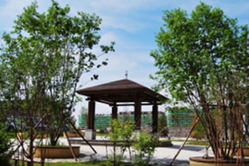 景观元素：艺术的点缀