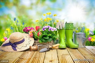 羊茅：东北春天的绿色使者