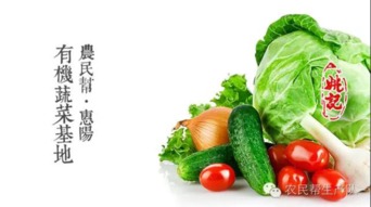 有机蔬菜的营养价值
