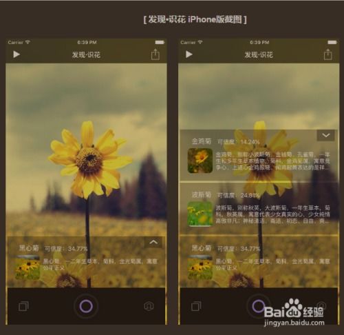 知识内容的深度与广度