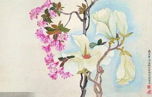 那校园里的树啊，象征着什么？