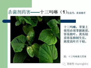 混合均匀， 喷洒均匀