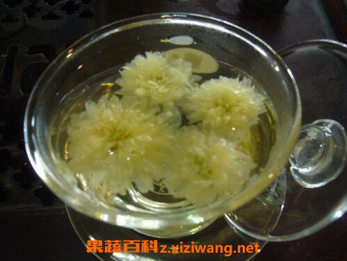 菊花茶变绿是何原因？一招教你轻松解决