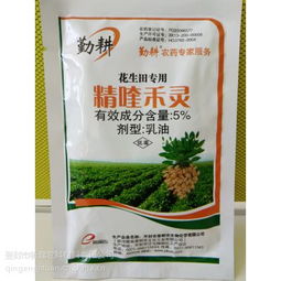 下雨前后施药，有讲究