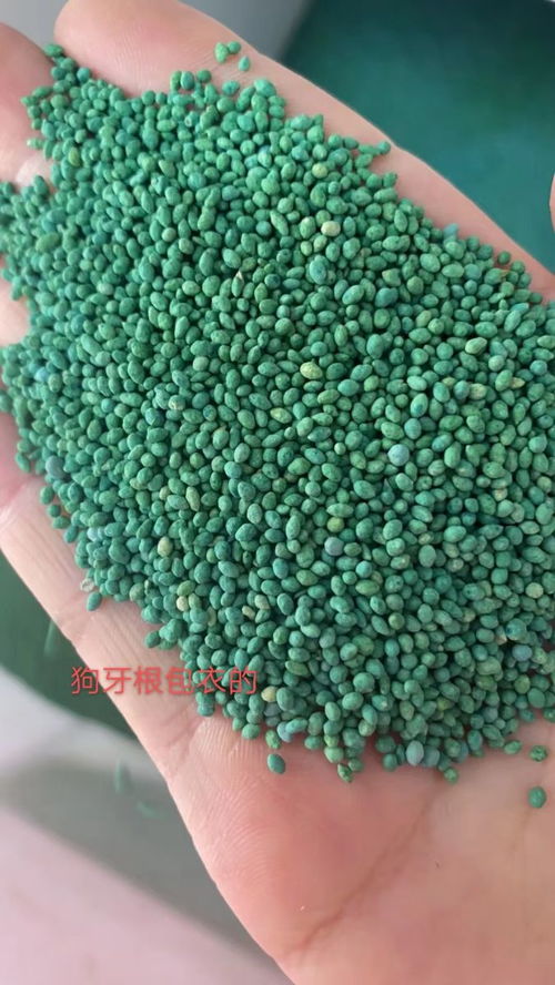 草籽种植，你知道它发芽的秘密吗？