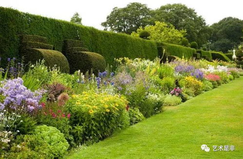庭院美化，从了解地被植物开始