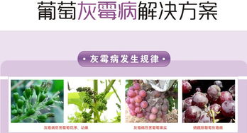使用农药，讲究方法！
