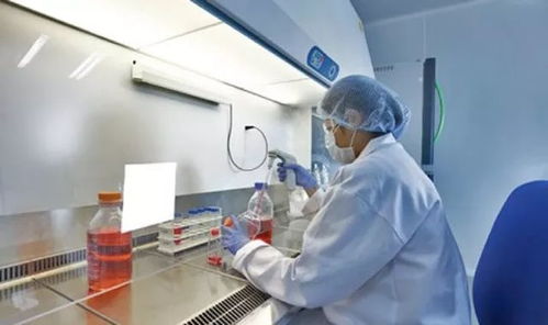 1 过度依赖消毒忽视生物隔离2