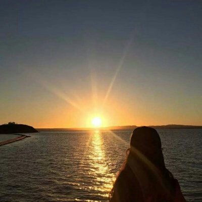 夕颜花：浪漫夕阳，爱情永恒