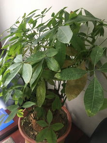 原因二：细节问题也不容忽视