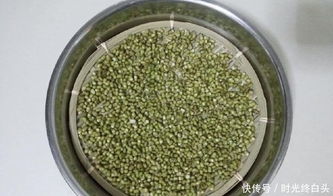 绿豆芽怎么发？手把手教你在家轻松发绿豆芽