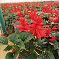 影响价格的因素，你知道吗？