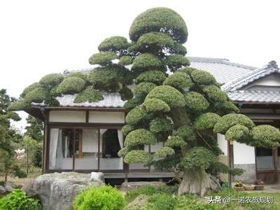 第一步：选对人