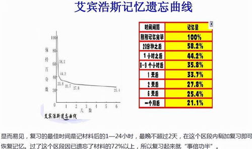 限位栏养殖淘汰率高，模式是否需要反思