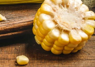 玉米什么时间防虫好？