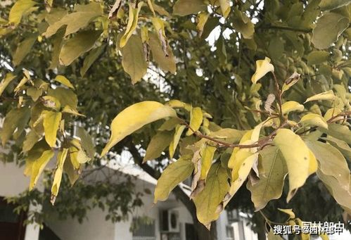 河北老王的血泪教训