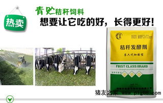 微生物饲料发酵剂和青贮饲料价格是多少一吨？
